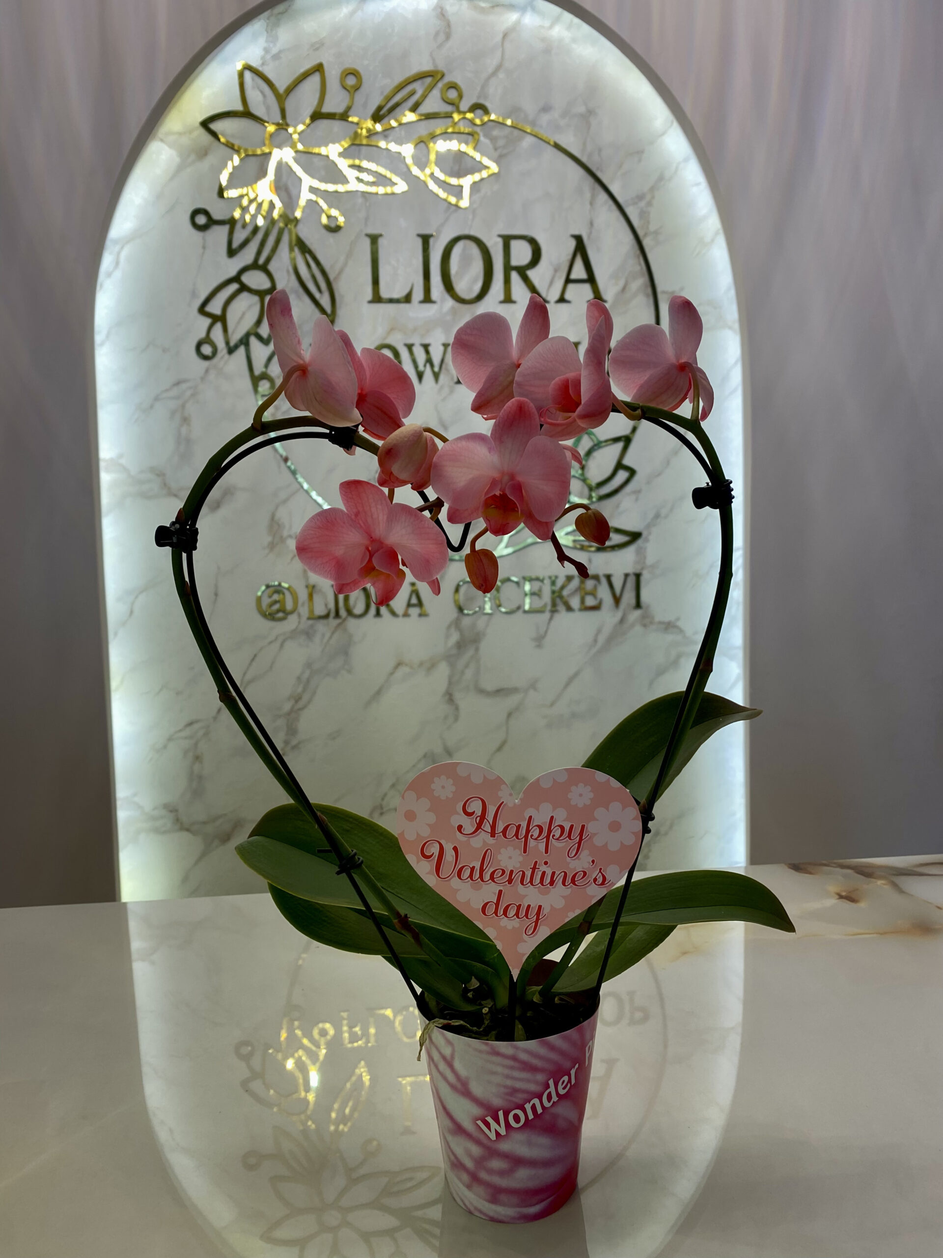 basiskele-cicekci-dukkanlari